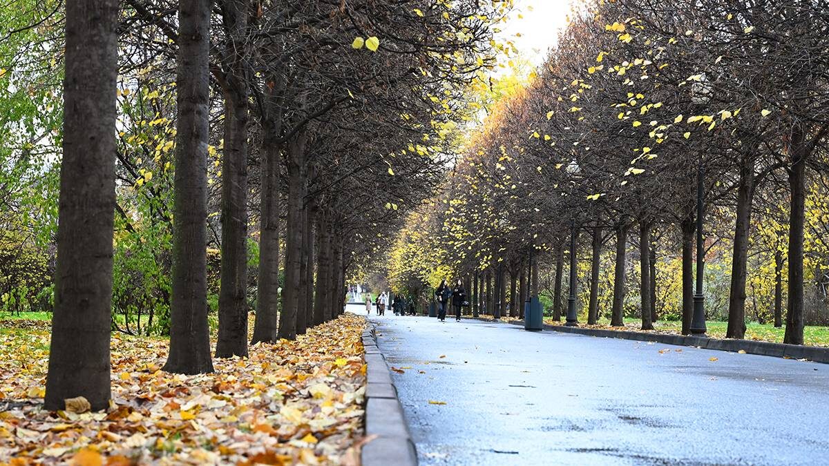    Фото: Мария Хапцова / Вечерняя Москва