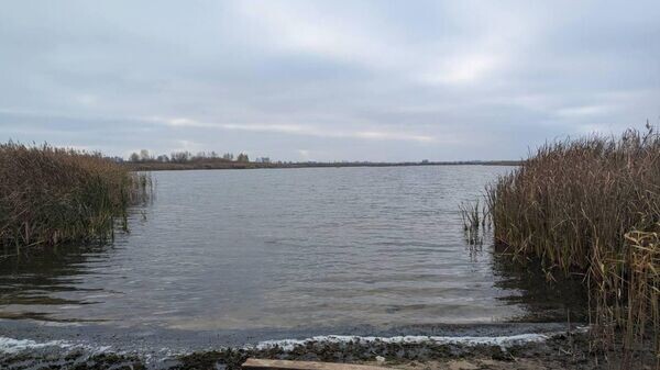    © Могилевская ОО ОСВОД