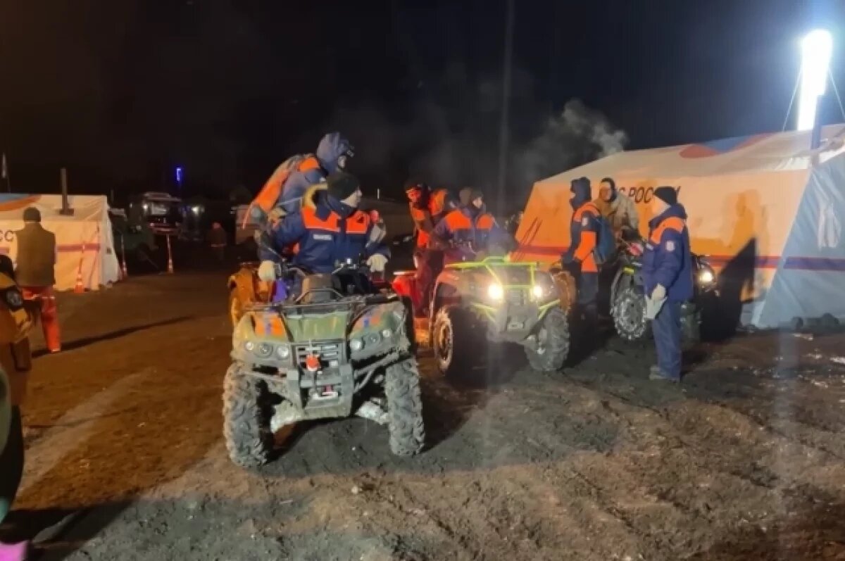    «ЛизаАлерт»: поиски Усольцевых стали самыми масштабными в истории