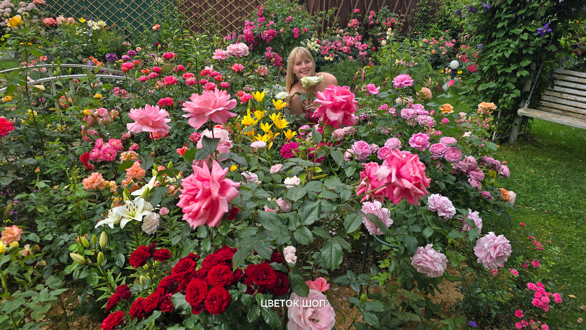 Один из розариев