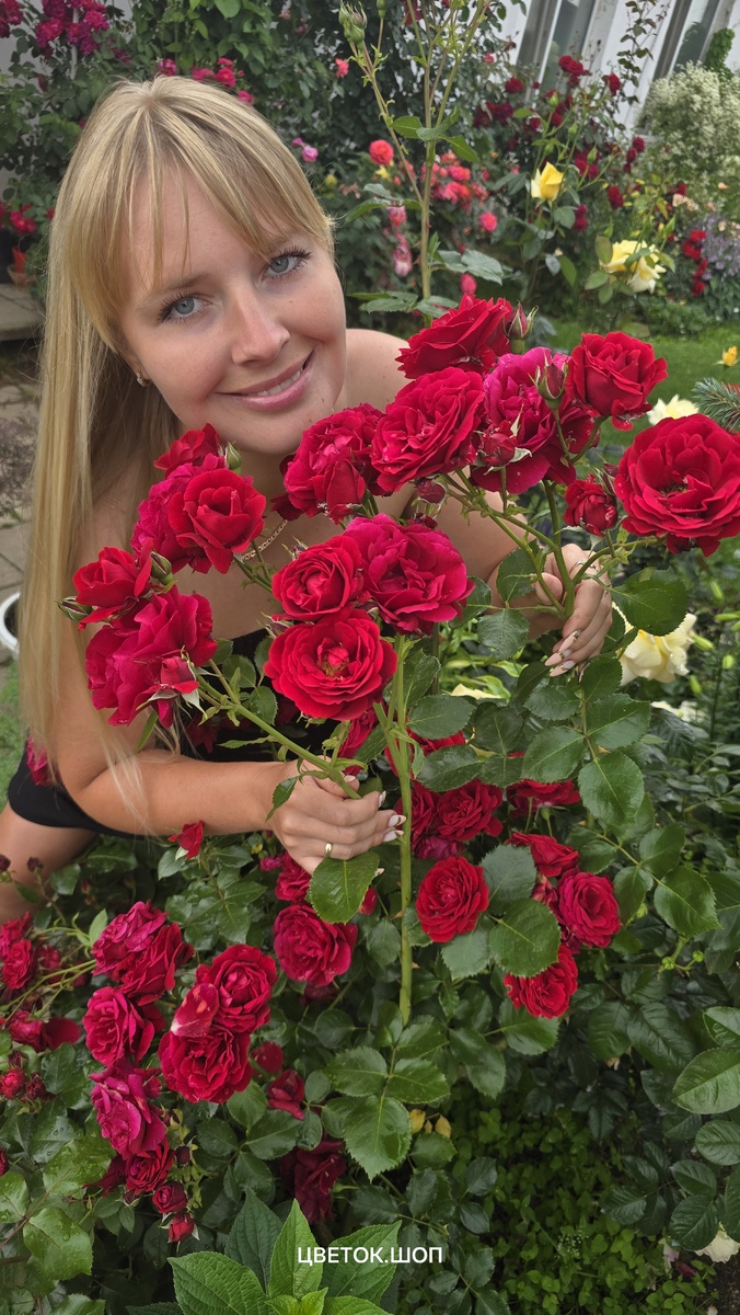 Я и Симпатия