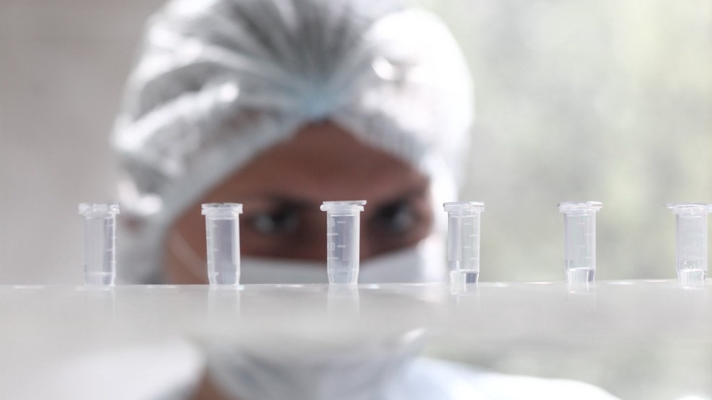    Фото © Сергей Ведяшкин / АГН «Москва»