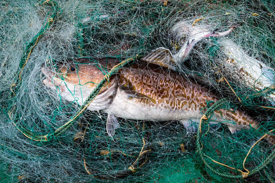    Юрий Смитюк/ТАСС