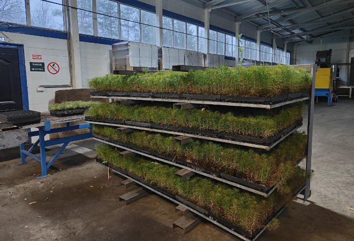 фото: t.me/kprlo