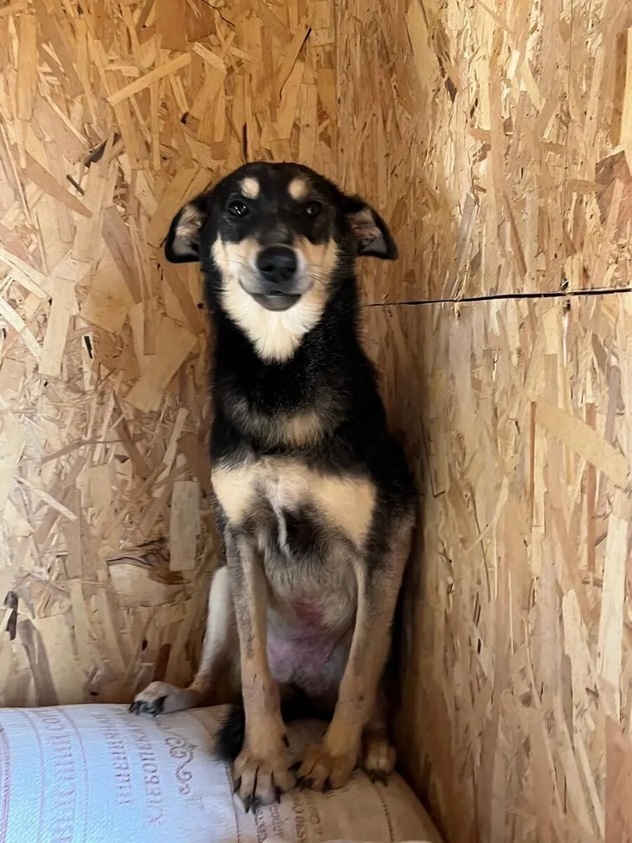 Рати, добрый улыбающийся подросток