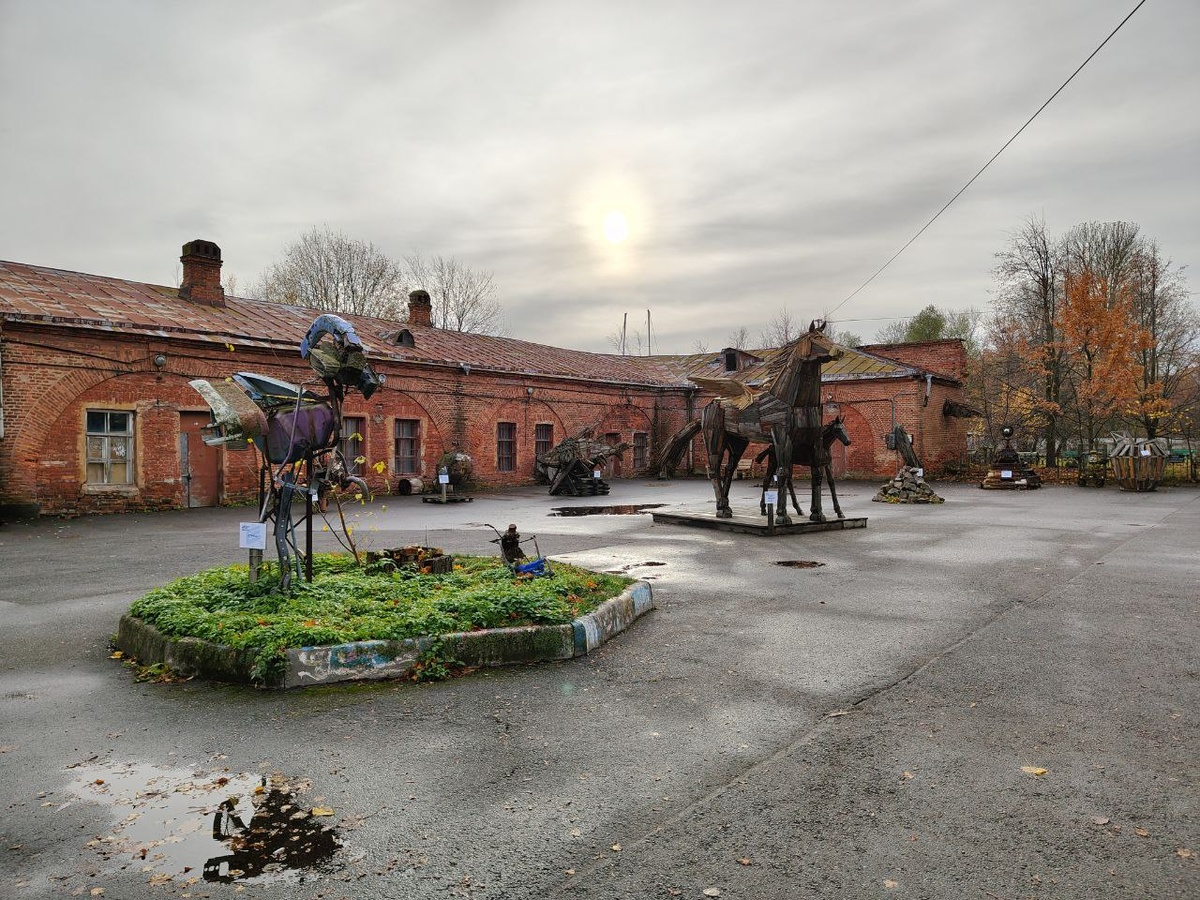 Все фото автора ноябрь 2025 г