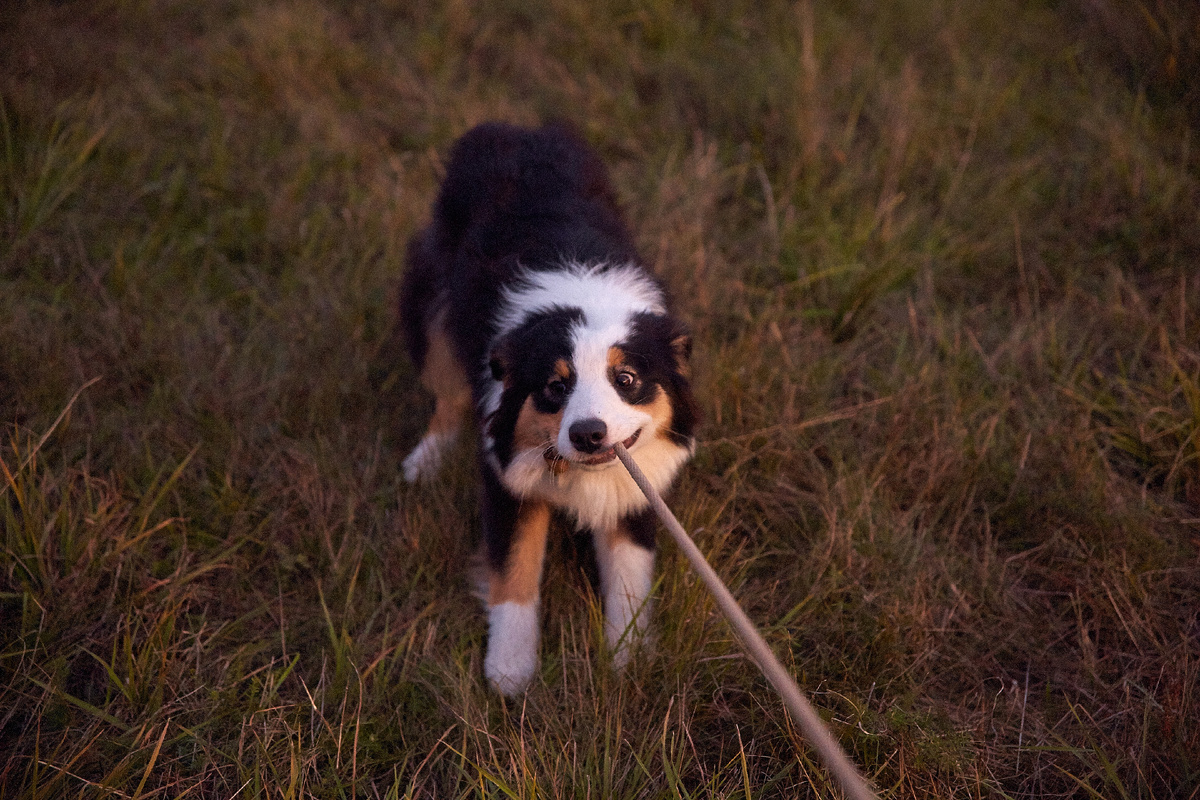 Тянет-потянет, а вытянуть не может