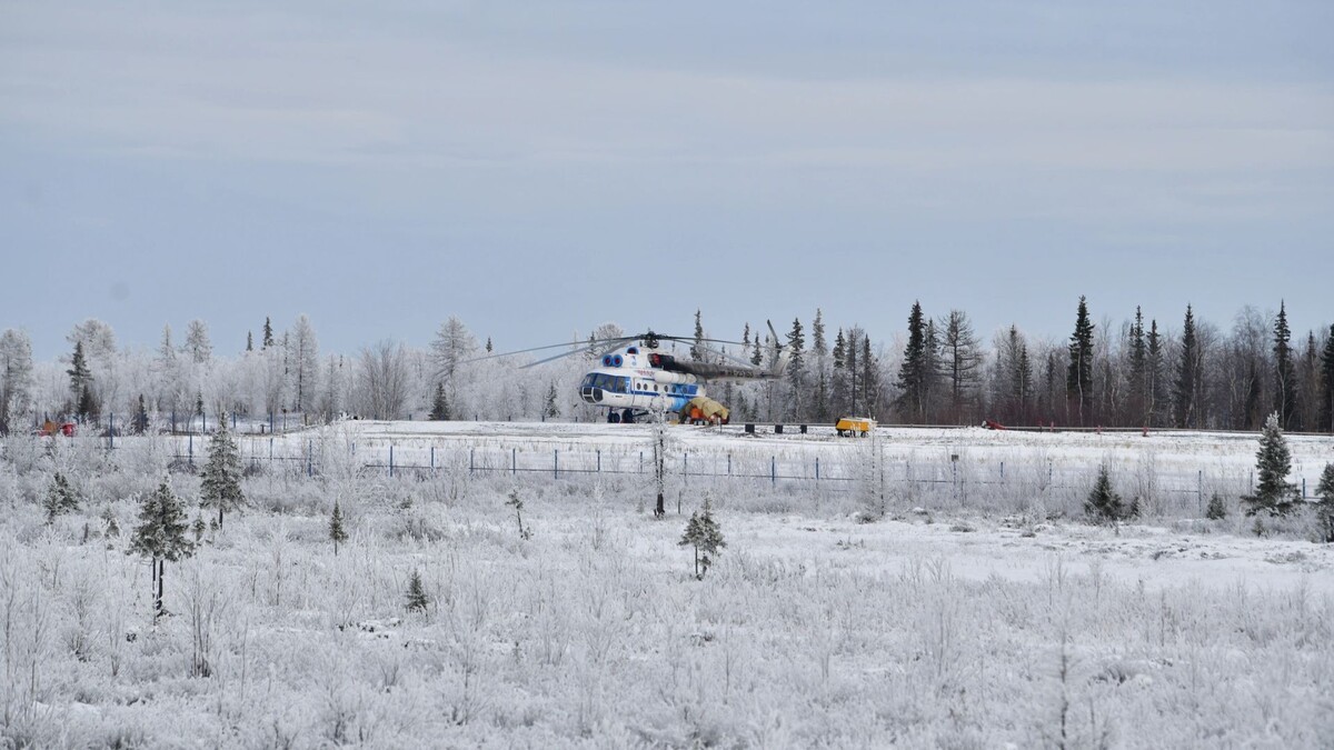    Фото: Андрей Ткачев / «Ямал-Медиа»