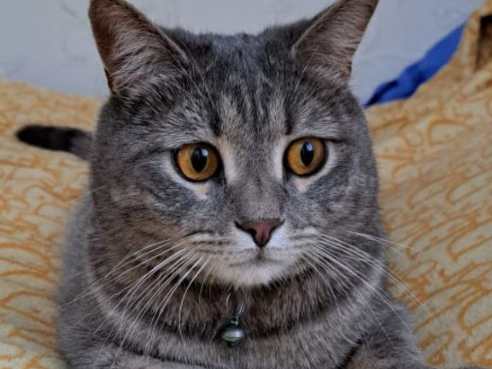    Фото: личный архив Раисы Платоновой