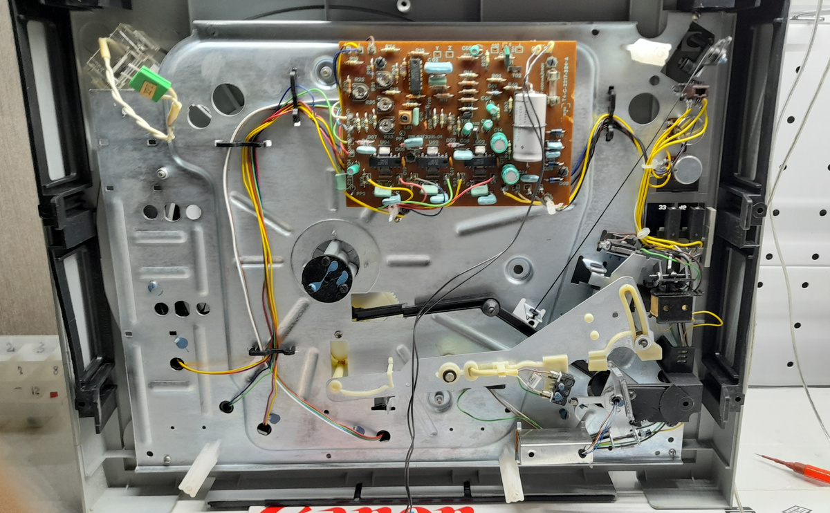 Фото автора.