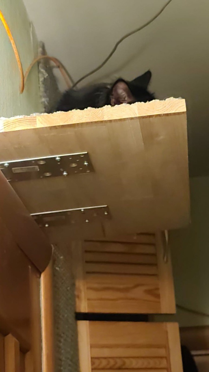 Гром грянет - я ухом не поведу!