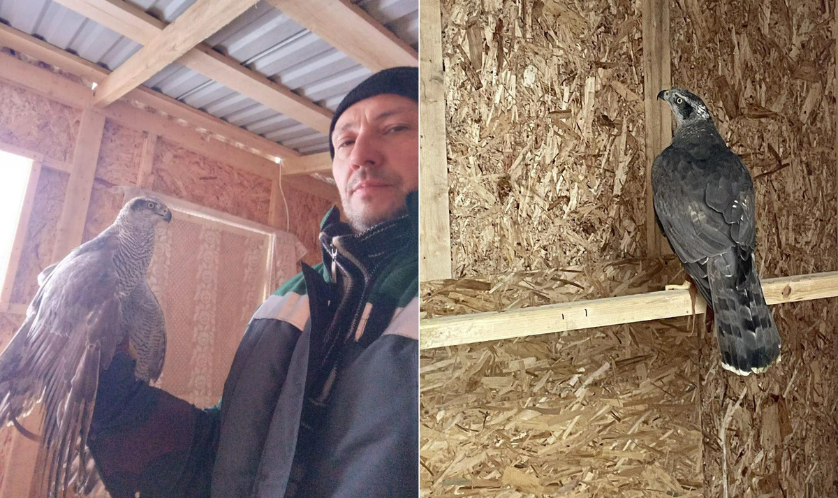 Фото: МУП «САХ»