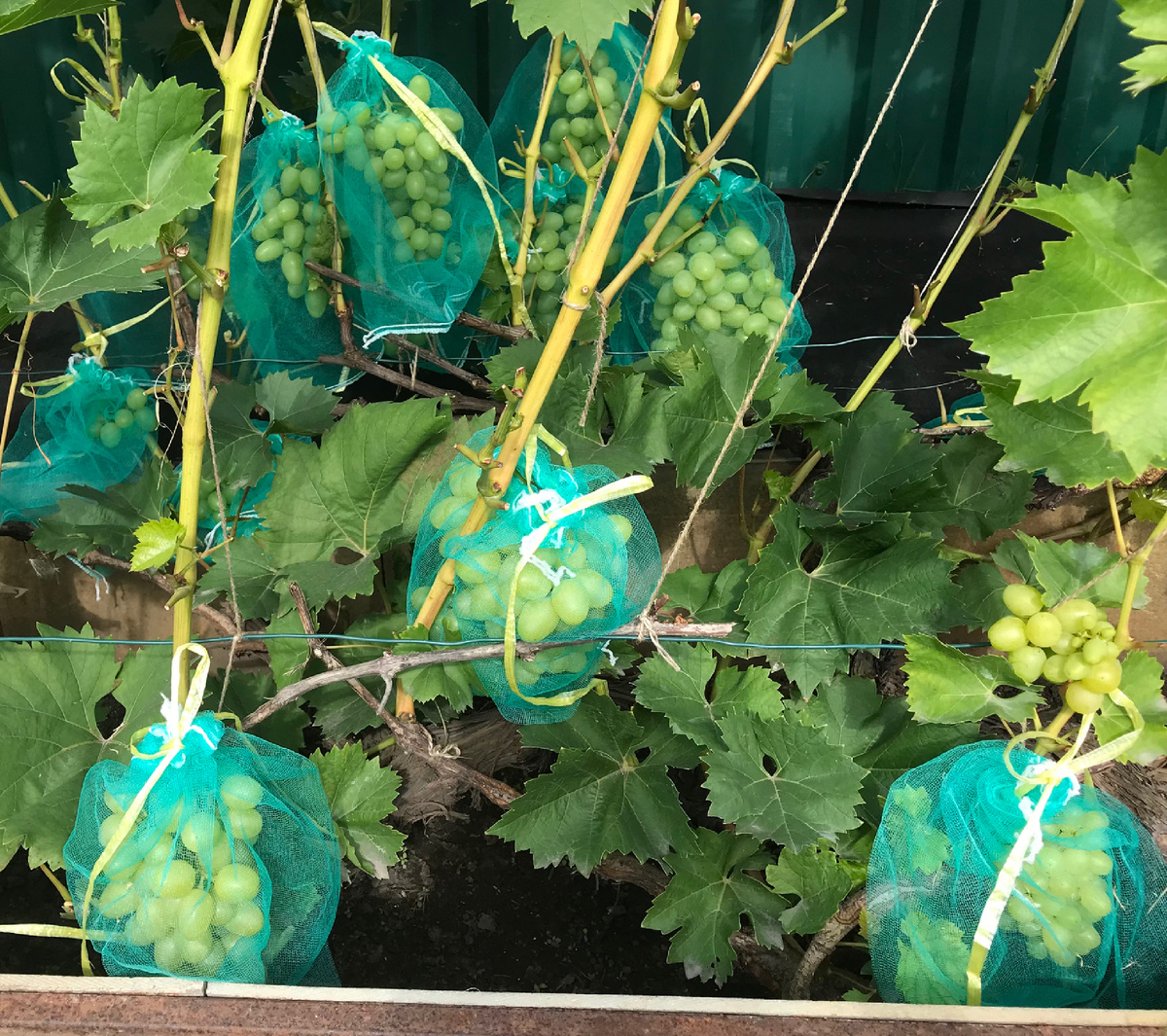 Фото 22 августа 2025 г. 