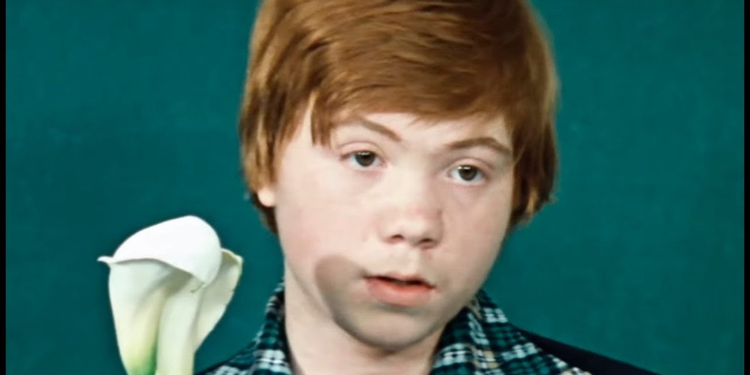 «Рыжий из “Ералаша”: вся страна смеялась, а потом он исчез. Что стало с Павлом Степановым»