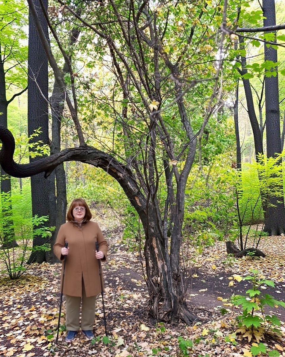 Нет ничего лучше свежего осеннего воздуха в лесу!