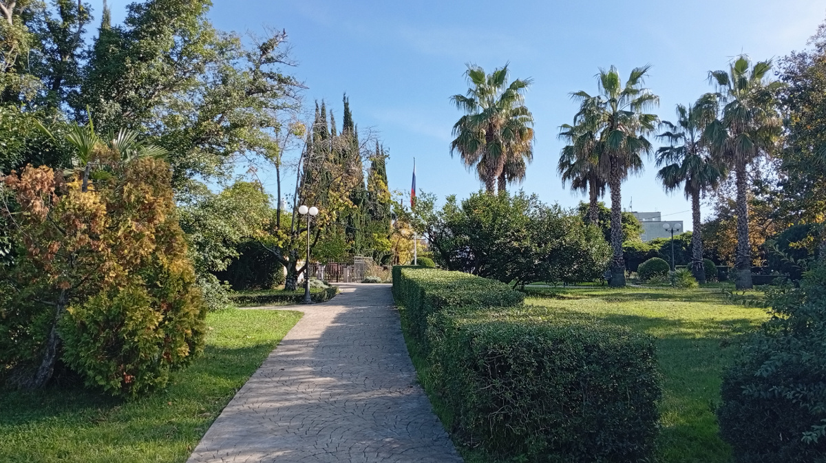 Начало осмотра.