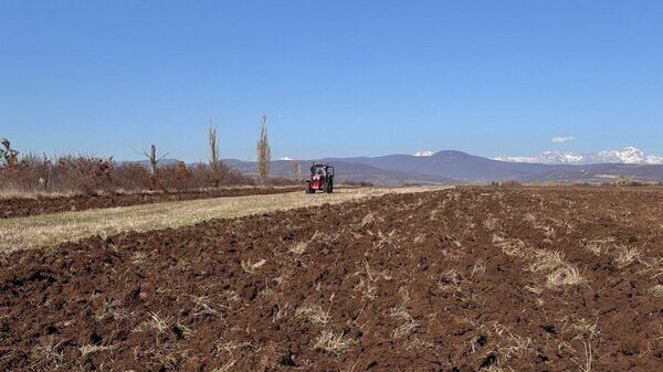    © Photo : Пресс-служба Минсельхоза РЮО