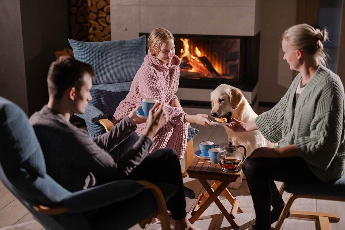 Камин — точка притяжения всей семьи. Источник: StockMediaSeller / Shutterstock / FOTODOM📷
