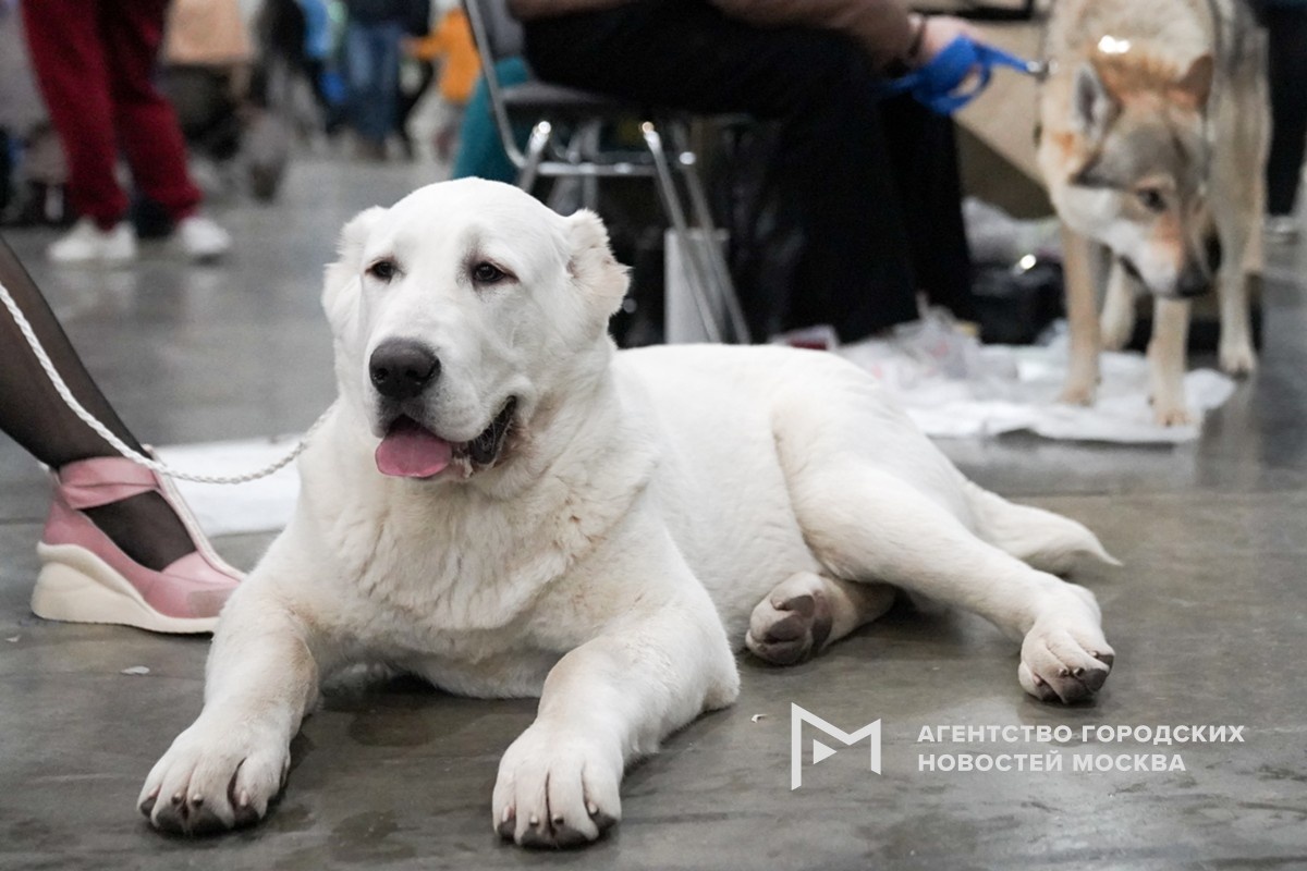 Фотограф: Пелагия Тихонова