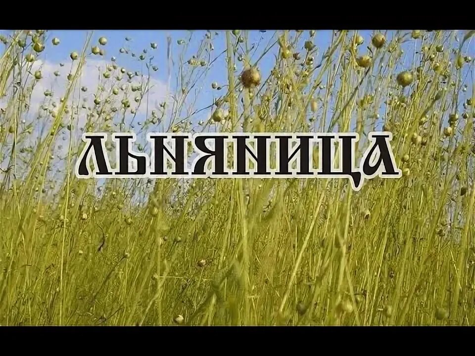 YouTube Льняница праздник