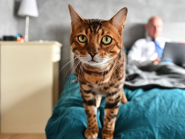    Фото: портал мэра и правительства Москвы/Юлия Иванко