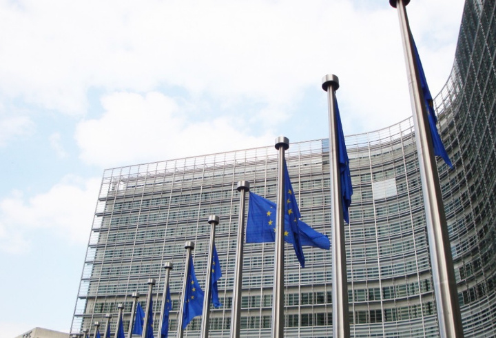 фото: pxhere.com