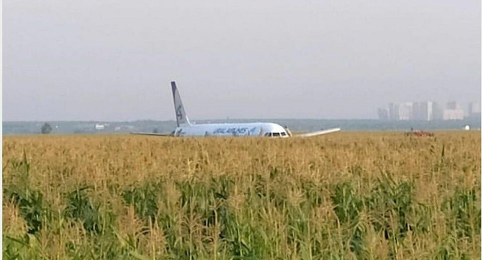    EMERCOM of Russia/via Global Look Press / www.globallookpress.com