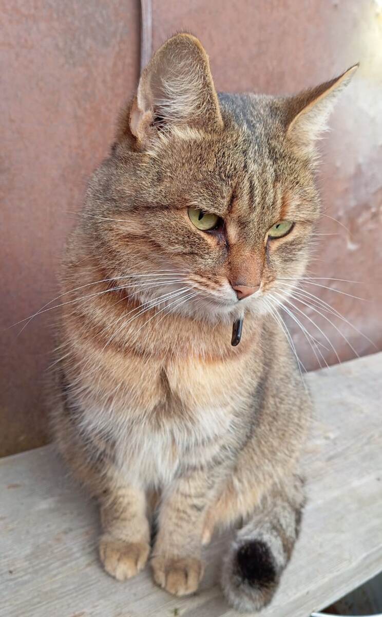 Серьëзная такая сидит :) 