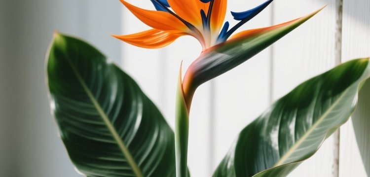    Фото: Медведева Анна, AgroXXI.ru