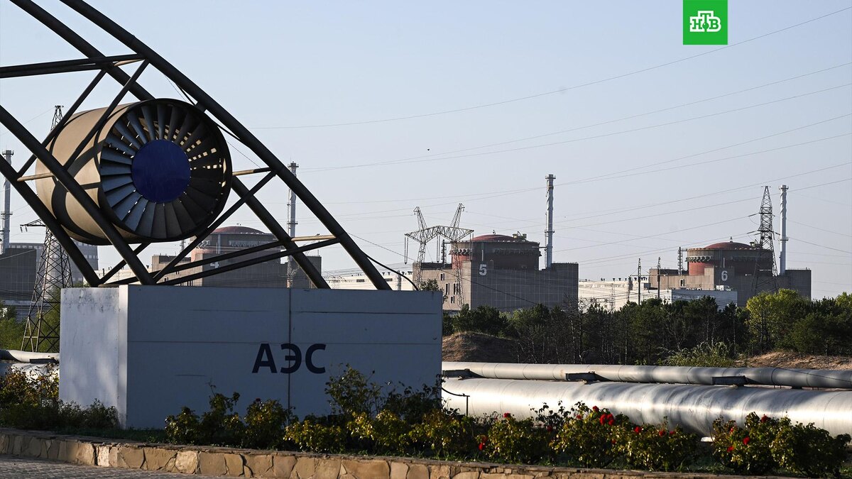    Фото: РИА Новости © 2025, Константин Михальчевский