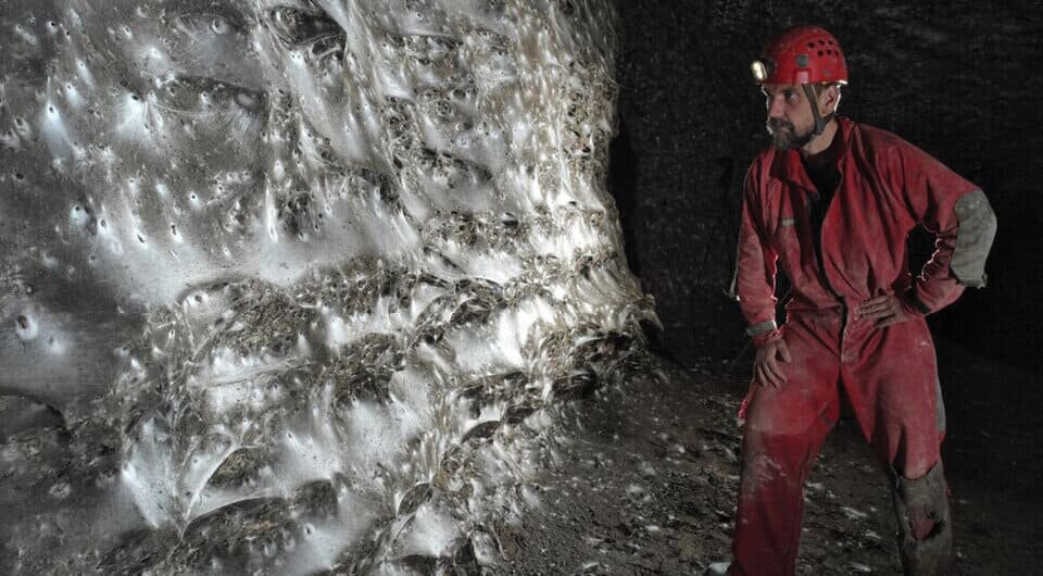   Traian Brad et al. / Subterranean Biology, 2025