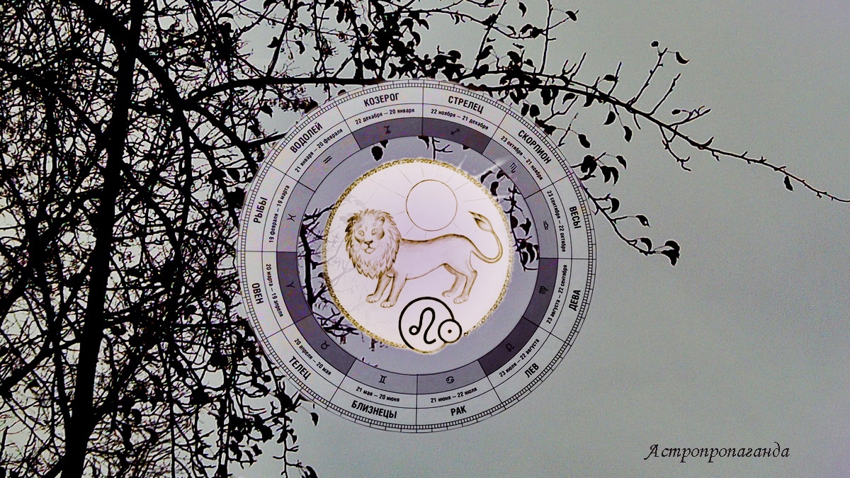 Гороскоп для Льва с 3 по 30 ноября 2025. 