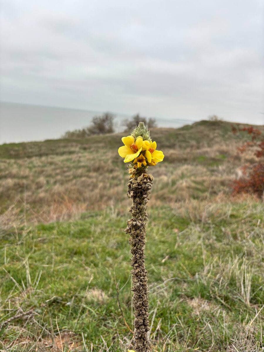 По понятным причинам кладбище не фотографировал