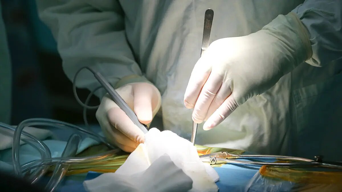    Фото: vm.ru Евгений Иванов