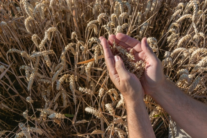    Фото: shutterstock