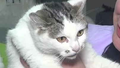 Порно жүктеп алуға болады