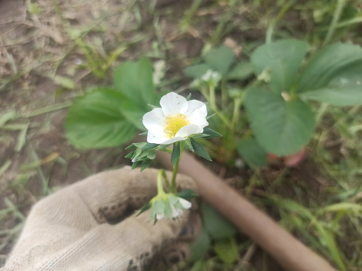 Фото автора. 