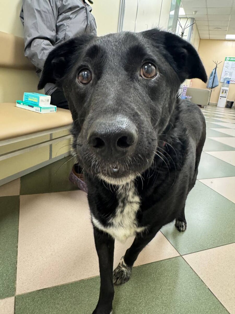 Мы опять в клинике