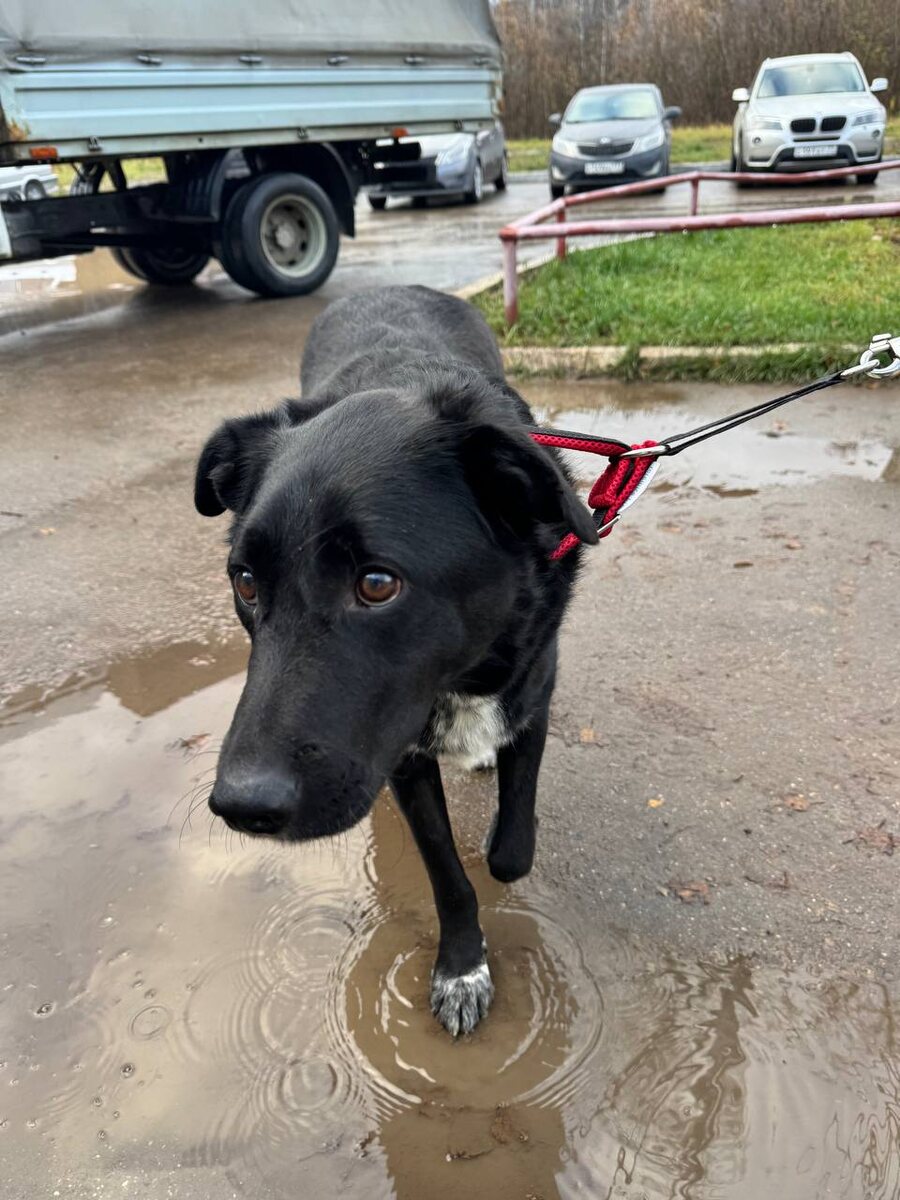 Куда-то идём... А хочется идти домой... Да хоть во временный дом