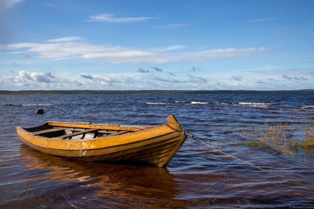    фото: © Столица на Онего