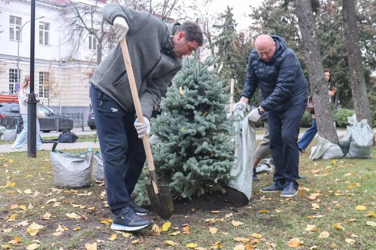    Глава Воронежа высадил деревья в сквере Никитина
