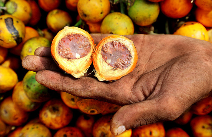    Mohammed Shajahan/ZUMA/TASS