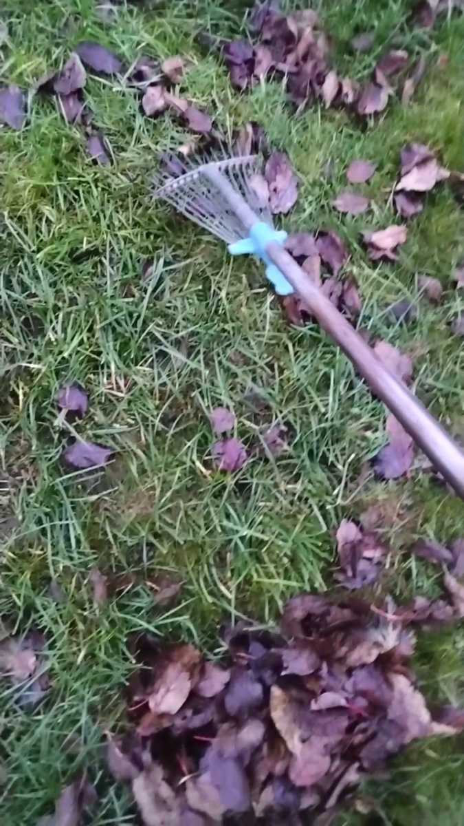 Перед заморозками газон необходимо очистить от мусора.