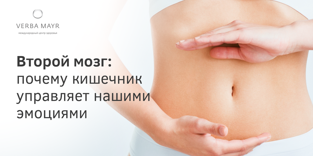 Второй мозг: почему кишечник управляет нашими эмоциями