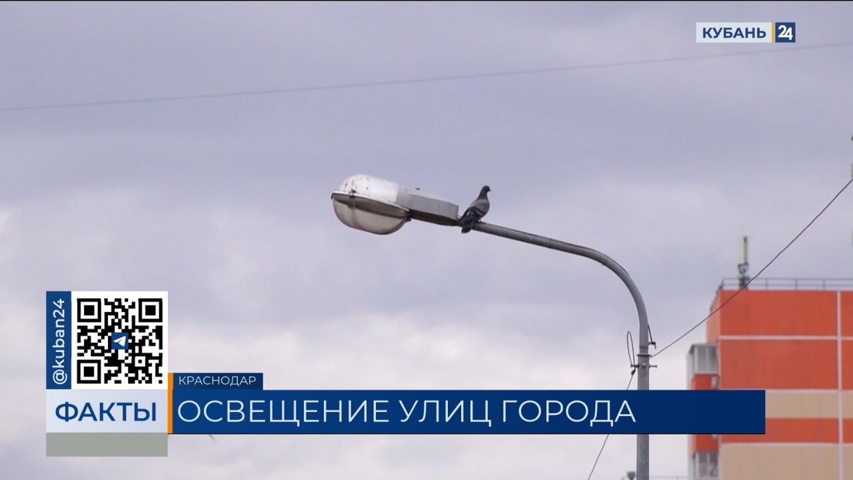    Скриншот видео телеканала «Кубань 24»