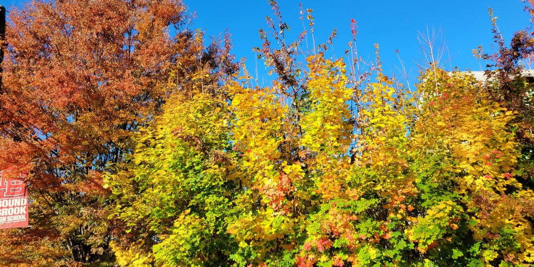 Американская золотая осень