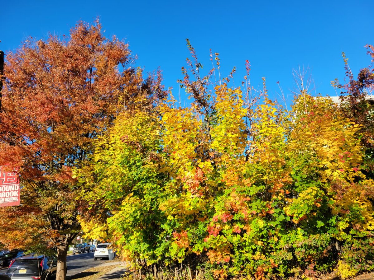 Город Баунд Брук. Золотая осень.