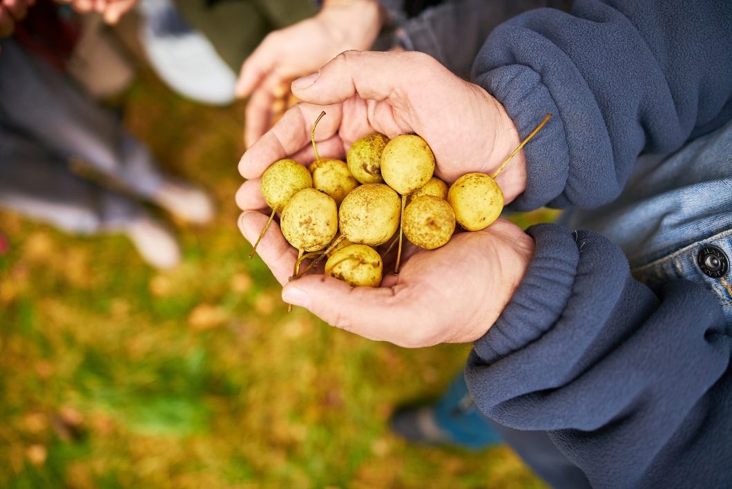 📸 Александр Емельянов