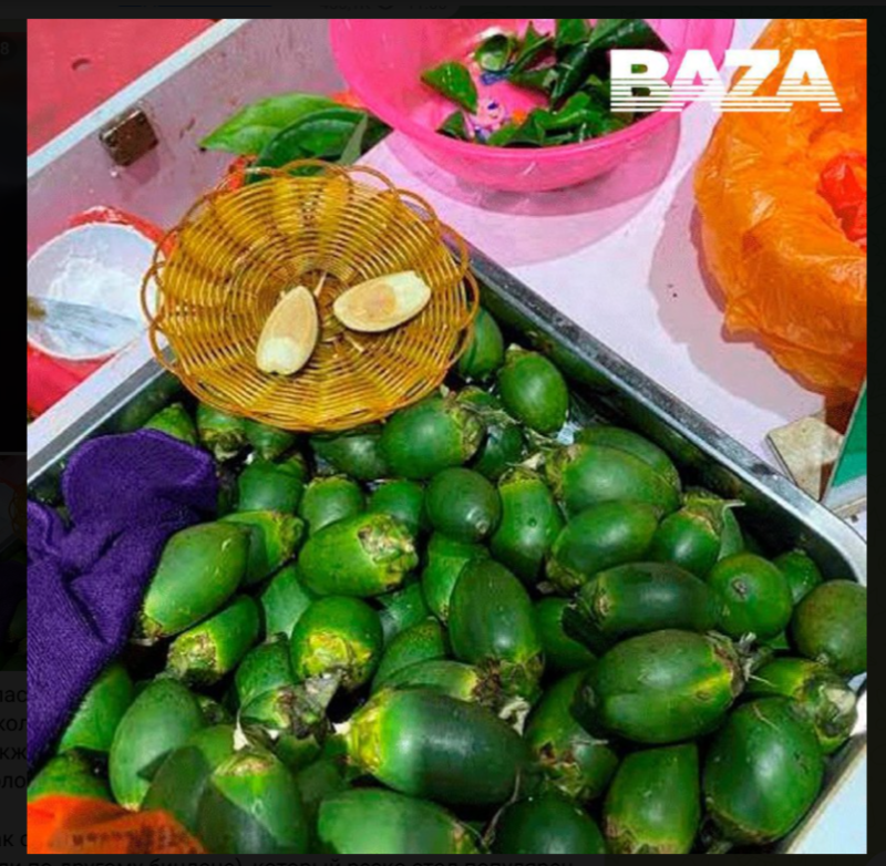    Бинлан. Скриншот: телеграм-канал Baza