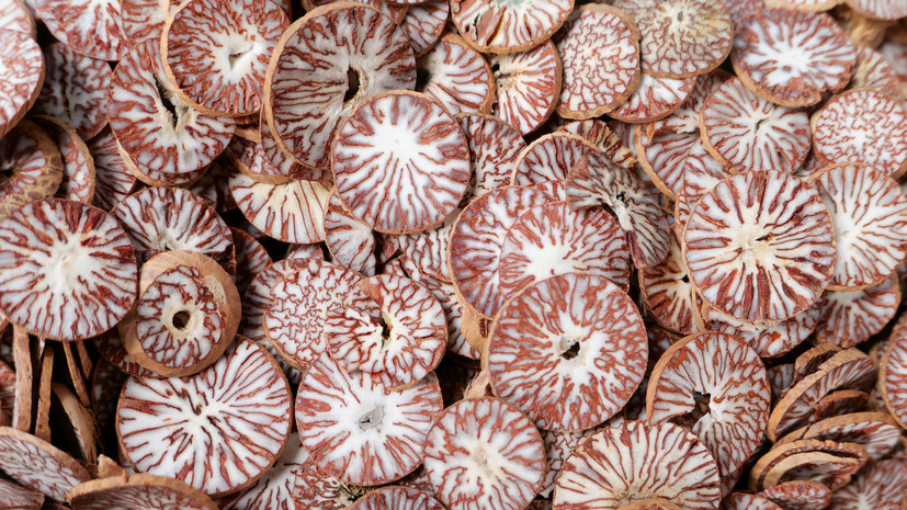     Бетельный орех Gettyimages.ru Edda Dupree